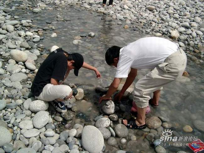 利用豆子制作小动物鱼