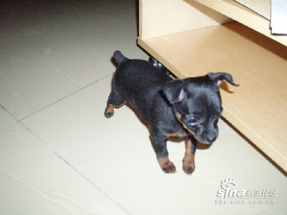 根据我的名字帮我取个英文名,谢谢-请大家根据