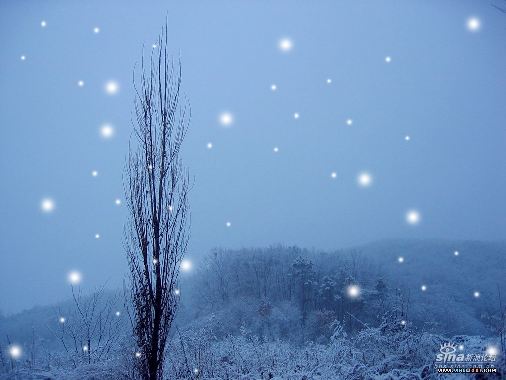 我和你飞翔在蓝天 歌词我和你飞翔在蓝天 我要