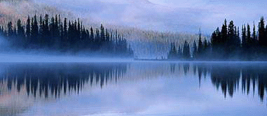 连载《琉璃人鱼》(五) 生出一份闲愁