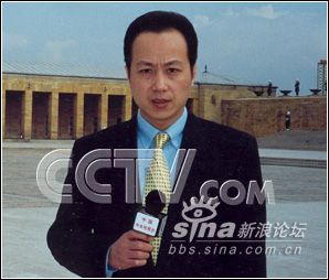 央视十大名嘴罗京妻子_央视名嘴们的收入(3)