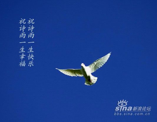 请白兰鸽捎去我的问候,祝你一路平安,一生快乐.
