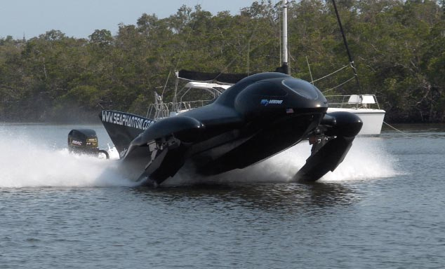 Blackjack seal patrol