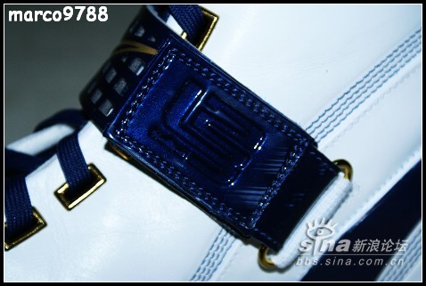 加菲家:实战谈感受.小评LBJ5._我为鞋狂