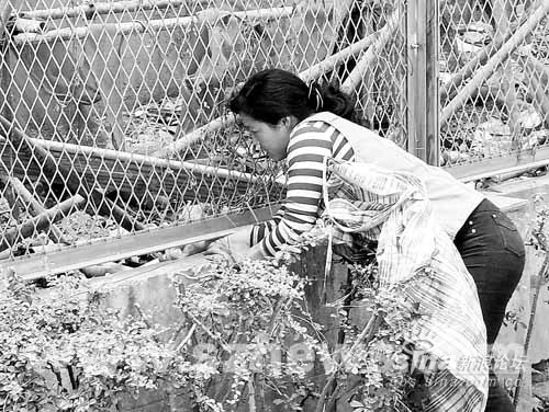 1504430073_748a3eb23f0f09a63979193e7eba347e.jpg