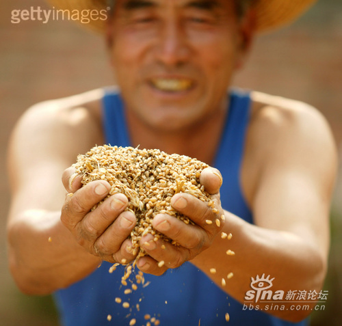 一寸照片的尺寸是多少_农民一年收入是多少