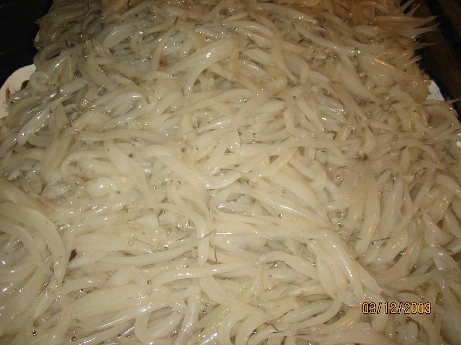 深圳丹东海鲜烤肉(3)
