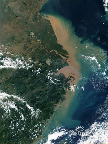 国家森林城市人均公园_人均占有森林面积(2)