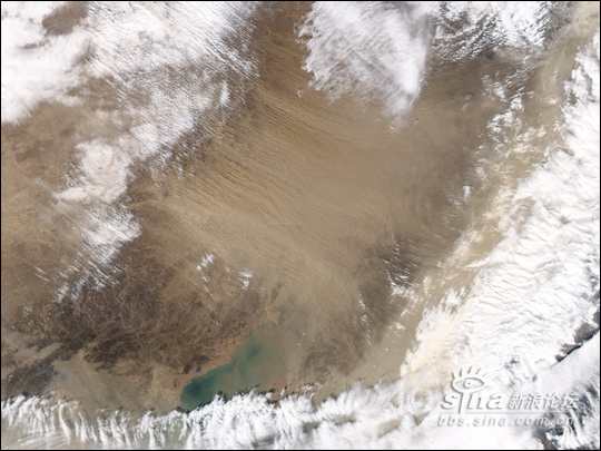 汽车品牌占有量_森林人均占有量(2)