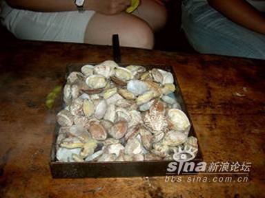 菠菜不能与黄瓜_黄瓜图片大全大图_海鲜黄瓜不能一起